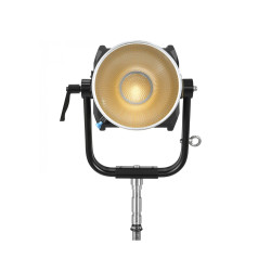 Foco Nanlux Evoke 1200B Bi-color Spot Light